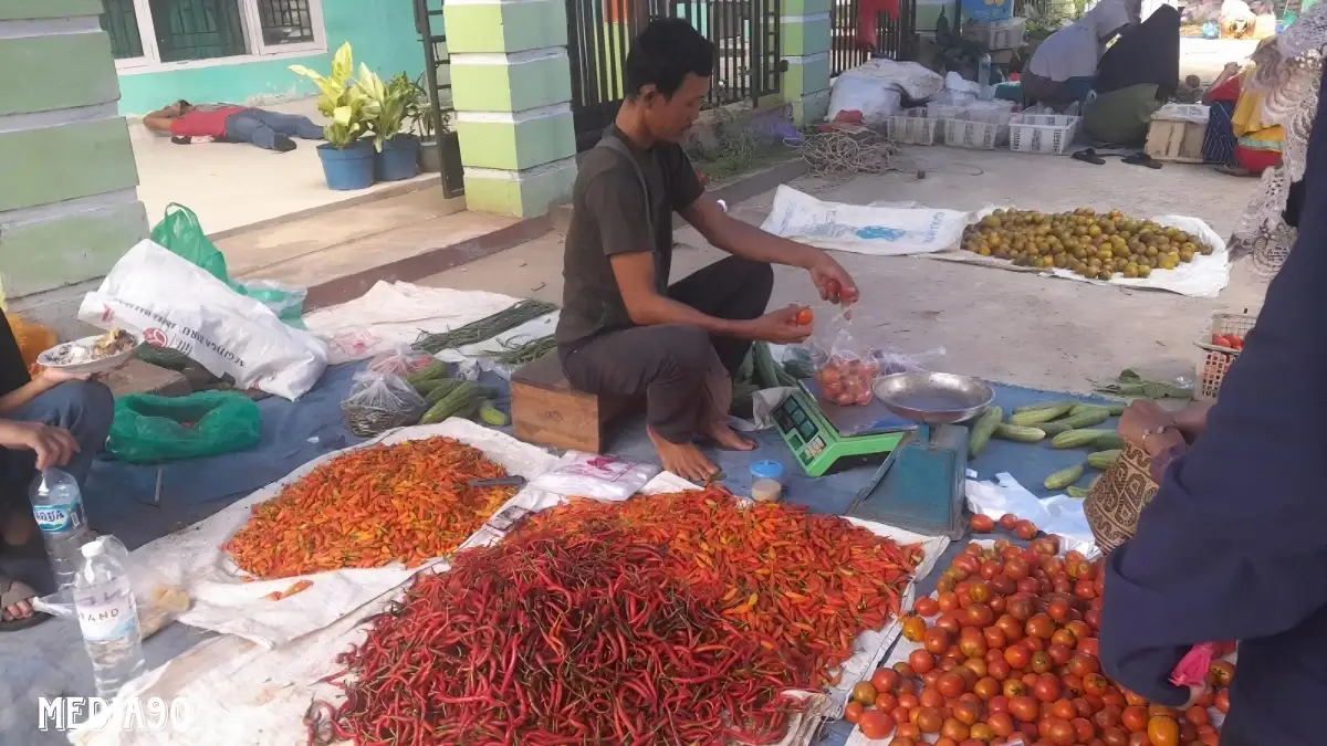 Sikapi Harga Mahal, Pemprov Lampung Gerakkan Aksi Tanam Cabai, Warga Diminta Tanam Sendiri di Pekarangan