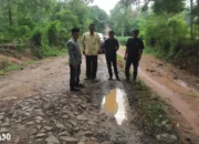 21 Tahun Tidak Diperbaiki, Hamdani DPRD Lampung Selatan Terus Perjuangkan Jalan Penghubung Kertosari dan Wawasan