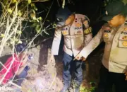 Kerangka Manusia Ditemukan di Kebun Karet Tulang Bawang Barat, Dibawa ke RS Bhayangkara Lampung untuk Forensik