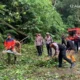Waspada Pohon Tumbang, Polisi Berlakukan Sistem Buka Tutup di Jalur Lintas Liwa – Krui