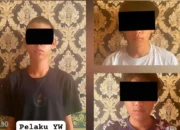 Polres Lampung Barat Tangkap Tiga Remaja Tanggung Kasus Pelecehan Terhadap Pelajar 15 Tahun dari Bukit Kemuning