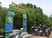 Hentikan Cuku Nyinyi, Ekowisata Mangrove Pesawaran: Penuh Edukasi dan Keunikan