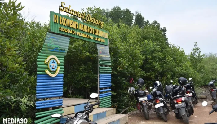 Hentikan Cuku Nyinyi, Ekowisata Mangrove Pesawaran: Penuh Edukasi dan Keunikan