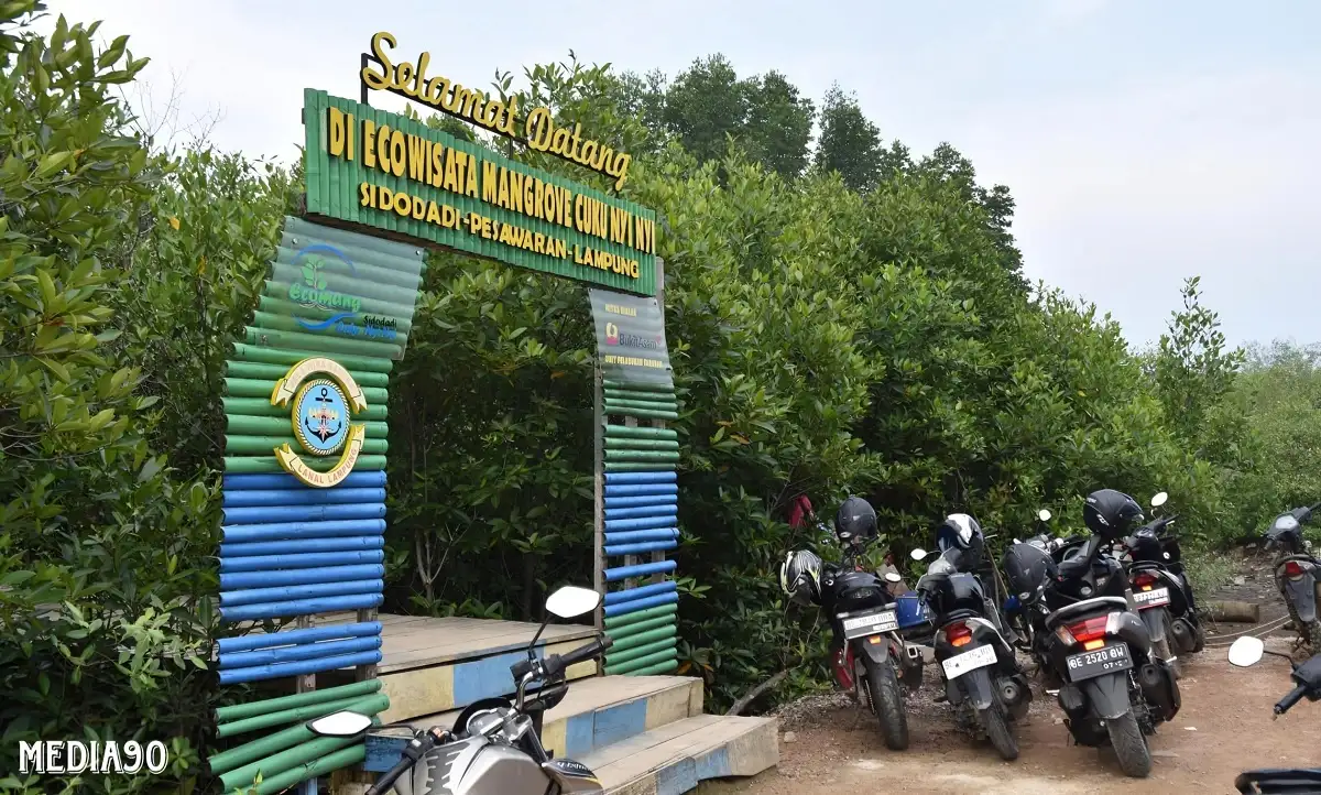 Cuku Nyinyi, Ekowisata Mangrove di Pesawaran yang Sarat Edukasi dan Keunikan