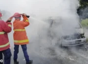 Korsleting Diduga Sebabkan Minibus Terbakar Saat Melaju di Jalan Sukatani Kalianda, Dua Penumpang Mengalami Luka Bakar Serius