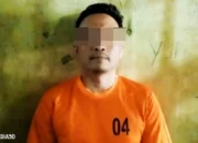 Pinjam Mobil Teman, Pria Asal Metro Lampung Nekat Jual Innova Rp110 Juta ke Warga Kalirejo