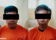 Upaya Gagal Larikan Sapi Limousin di Gunungsugih, Lampung Tengah: Dua Pria Paruh Baya Dibekuk Polisi