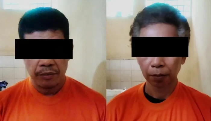 Upaya Gagal Larikan Sapi Limousin di Gunungsugih, Lampung Tengah: Dua Pria Paruh Baya Dibekuk Polisi
