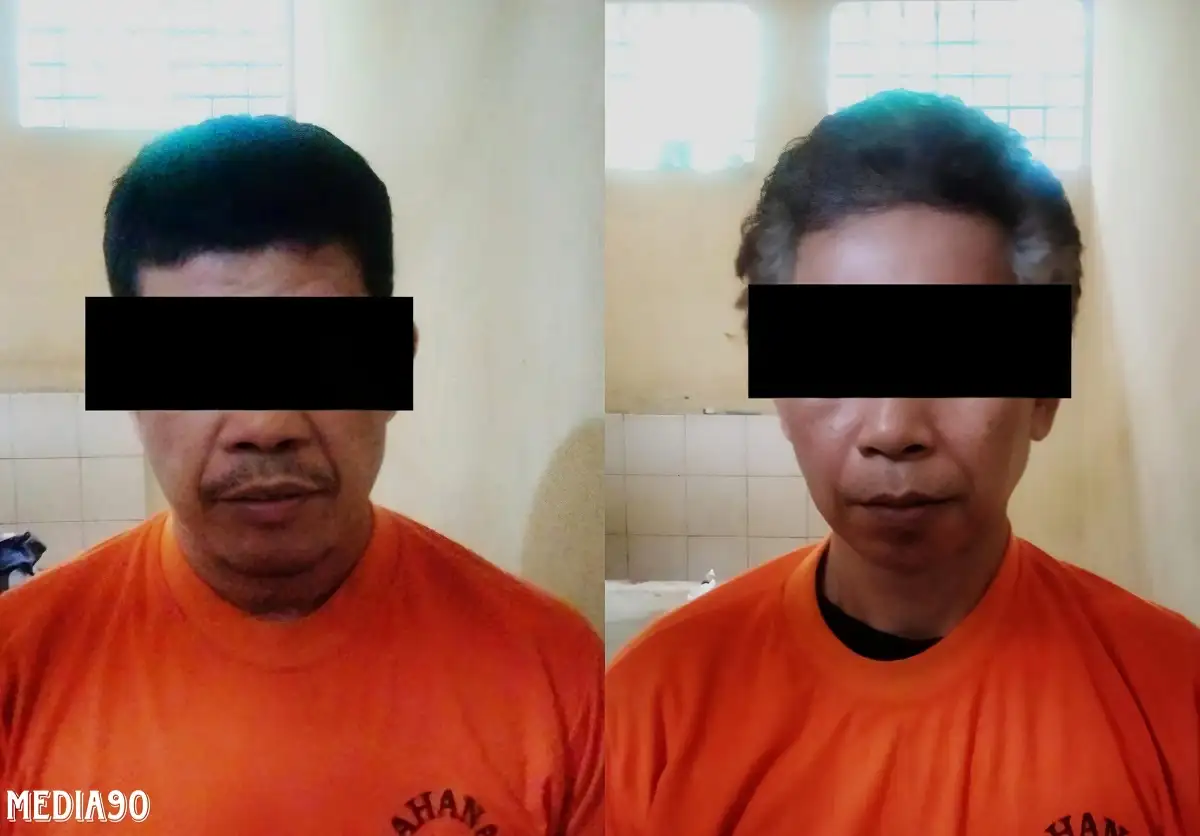 Gagal Larikan Sapi Limousin di Gunungsugih Lampung Tengah, Polisi Borgol Dua Pria Paruh Baya ini