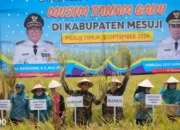 Pj Gubernur Lampung Serahkan Beragam Bantuan dan Saksikan Panen Raya di Wonosari Selama Kunjungan ke Mesuji
