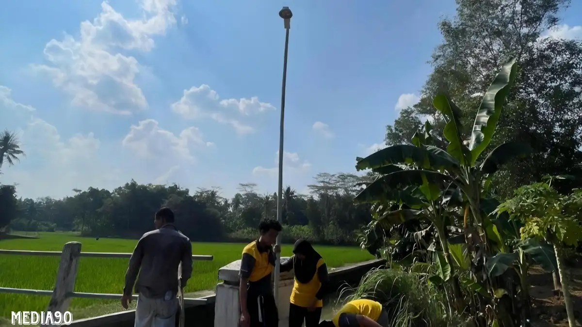 Mahasiswa KKN Unila Bikin Karya Lampu Jalan Tenaga Surya Dipasang di Jalan Desa Tanjung Wangi Lampung Timur