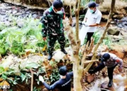 Bayi Perempuan dengan Tali Pusar Ditemukan Tersangkut di Saluran Air Tulung Balak, Tanjung Raja, Lampung Utara