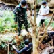 Masih Ada Tali Pusar, Mayat Bayi Perempaun Ditemukan Tersangkut di Saluran Air Tulung Balak Tanjung Raja Lampung Utara
