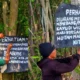 Merusak Lingkungan, Bumi Dipasena Agung Ancam Penebang Hutan Mangrove Greenbelt