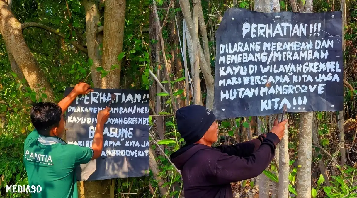 Merusak Lingkungan, Bumi Dipasena Agung Ancam Penebang Hutan Mangrove Greenbelt