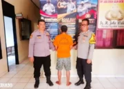 Modus Berdagang, Warga Melinting Lampung Timur Gelapkan Uang Penjualan 11 Sapi Senilai Rp193 Juta