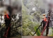 Petugas PLN Tewas Tersengat Listrik Saat Memperbaiki Jaringan di Way Krui, Pesisir Barat
