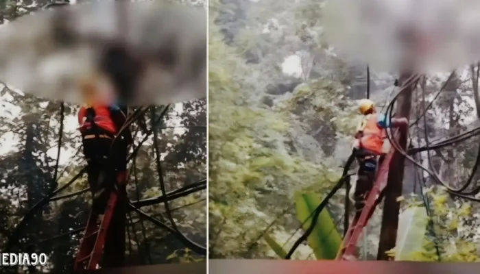 Petugas PLN Tewas Tersengat Listrik Saat Memperbaiki Jaringan di Way Krui, Pesisir Barat