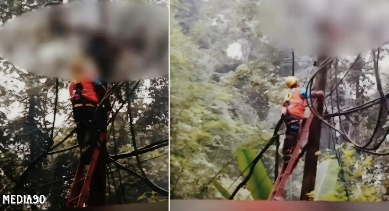 Petugas PLN Meninggal Tersengat Listrik Saat Perbaiki Jaringan di Way Krui Pesisir Barat
