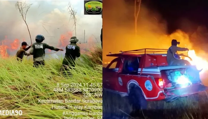 Polda Lampung Tegaskan Ancaman 15 Tahun Penjara dan Denda Miliaran untuk Pembakar Hutan dan Lahan