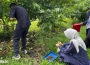 Polinela Kreasikan Pupuk Hayati dari Fungi Mikoriza untuk Mendukung Pertanian Berkelanjutan