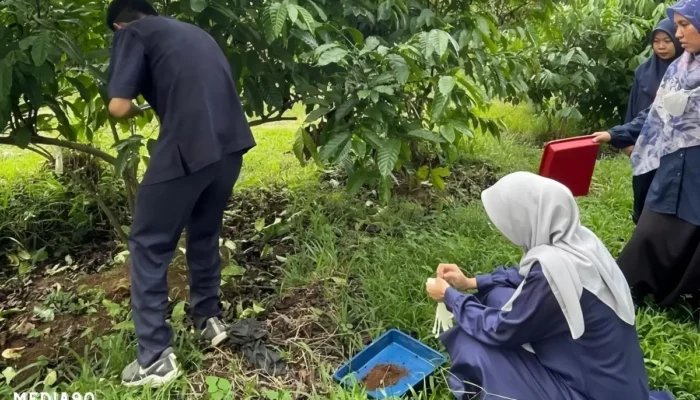 Polinela Kreasikan Pupuk Hayati dari Fungi Mikoriza untuk Mendukung Pertanian Berkelanjutan