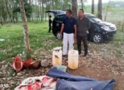 Polisi Amankan Lokasi Sabung Ayam di Pujodadi Trimurjo Lampung Tengah, Namun Pemain Berhasil Melarikan Diri