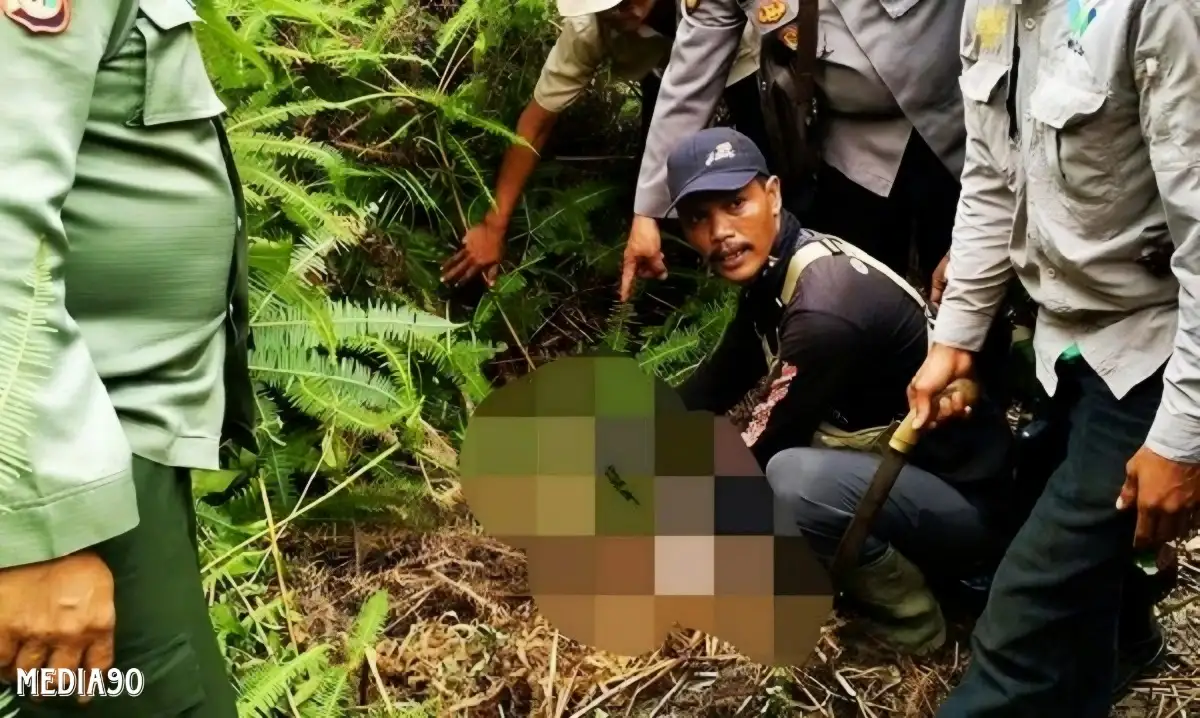 Potongan Kaki Petani Meninggal Diserang Harimau di Suoh Lampung Barat Ditemukan