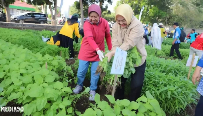 Panen Raya Sayuran Sambut Dies Natalis ke-59 Unila, Hasil dari Lomba Tanam Sayur
