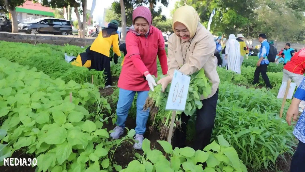 Sambut Dies Natalis ke-59, Unila Panen Raya Sayuran Hasil Lomba Nanam Sayur