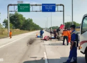 Kecelakaan Maut di Tol Gunung Batin Lampung Tengah: Sopir Tertidur, Daihatsu Sigra Tabrak Truk Fuso, Dua Korban Jiwa dari Tubaba