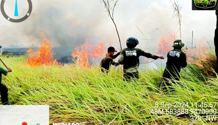 Kebakaran Hutan di Taman Nasional Way Kambas Lampung Timur Berhasil Dipadamkan Setelah Tiga Hari