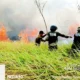 Terbakar Sejak Sabtu, Tiga Hari Kebakaran Hutan Taman Nasional Way Kambas Lampung Timur Dapat Dipadamkan