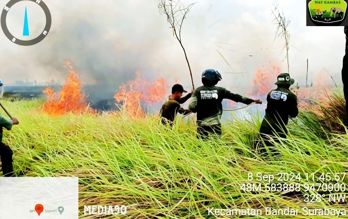 Terbakar Sejak Sabtu, Tiga Hari Kebakaran Hutan Taman Nasional Way Kambas Lampung Timur Dapat Dipadamkan