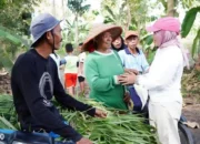 Pemkab Lampung Selatan Fokus pada Ketahanan Pangan dengan Pembangunan Jalan Tani dan Sumur Bor di Bangun Rejo Ketapang pada September 2024
