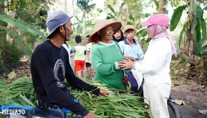 Pemkab Lampung Selatan Fokus pada Ketahanan Pangan dengan Pembangunan Jalan Tani dan Sumur Bor di Bangun Rejo Ketapang pada September 2024