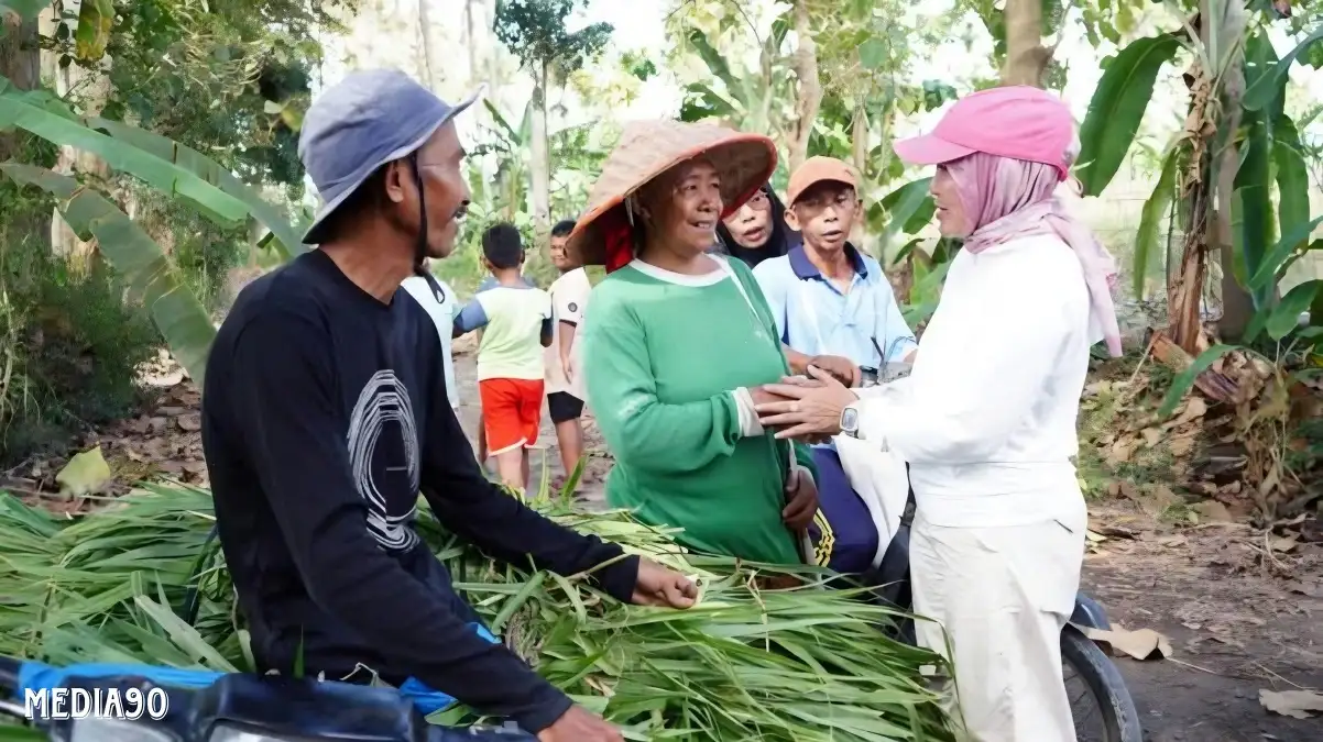 Tingkatkan Ketahanan Pangan, Pemkab Lampung Selatan Bangun Jalan Tani dan Sumur Bor di Bangun Rejo Ketapang September 2024 ini