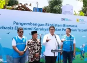 Transformasi Lahan Kritis Menjadi Hijau: PLN Inisiasi Ekosistem Biomassa Pertanian Terpadu di Tasikmalaya