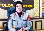 Polda Lampung Klarifikasi Video Viral Ikan Mati di Pantai Klara: Hoaks dan Tidak Berkaitan dengan Gempa Megathrust Tahun Lalu