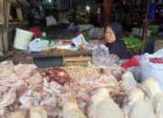 Lampung di Awal Oktober 2024: Inflasi Terkendali dan Ketersediaan Pangan Dipastikan Aman oleh Pj Gubernur