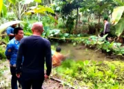 Diduga Sakit, Pria Ditemukan Tak Bernyawa di Kolam Kebun Tanjungan Pematangsawa, Tanggamus