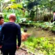 Diduga Sakit, Pria ini Ditemukan Meninggal di Kolam Kebun Tanjungan Pematangsawa Tanggamus