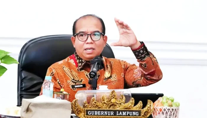 Pj Gubernur Lampung Tegur Keras Pemkab Pringsewu, Tulang Bawang Barat, dan Way Kanan Terkait Melonjaknya Harga Sembako