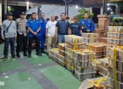 Balai Karantina Gagalkan Penyelundupan Ribuan Burung Dilindungi di Pelabuhan BBJ Bakauheni, Tujuan Tangerang