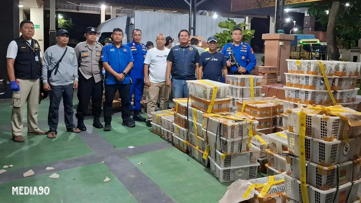 Hendak Dikirim ke Tangerang, Penyelundupan Ribuan Burung Dilindungi Digagalkan Balai Karantina di Pelabuhan BBJ Bakauheni