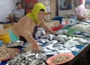 Cuaca Ekstrem Dorong Kenaikan Harga Ikan, Udang, dan Cumi di Gudang Lelang Bandar Lampung