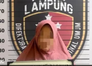 Janji Lulus Bintara Polri, Wanita Ini Raup Miliaran Rupiah dari Penipuan Warga Tanggamus