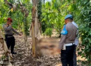 Penemuan Mengejutkan: Jasad Pria Tanpa Busana Diduga Dibakar di Kebun Warga Pagelaran, Pringsewu