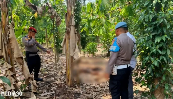 Penemuan Mengejutkan: Jasad Pria Tanpa Busana Diduga Dibakar di Kebun Warga Pagelaran, Pringsewu