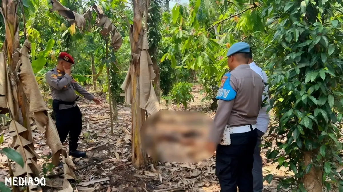 Jasad Pria Tanpa Busana Ditemukan di Kebun Warga Pagelaran Pringsewu, Diduga Dibakar